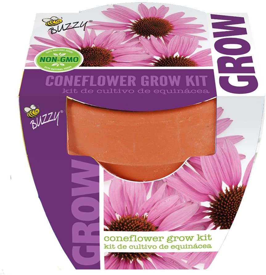 Buzzy Seeds - Kids Mini Grow Pot - Coneflower