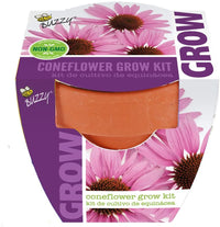 Buzzy Seeds - Kids Mini Grow Pot - Coneflower