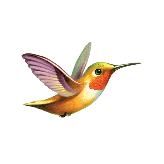 Hummingbird Tattoo