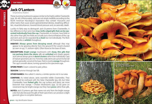 AdventureKEEN - Mushrooms of the Northeast