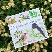 Moulin Roty - Bird Discovery Box - Decrouverte des oiseaux