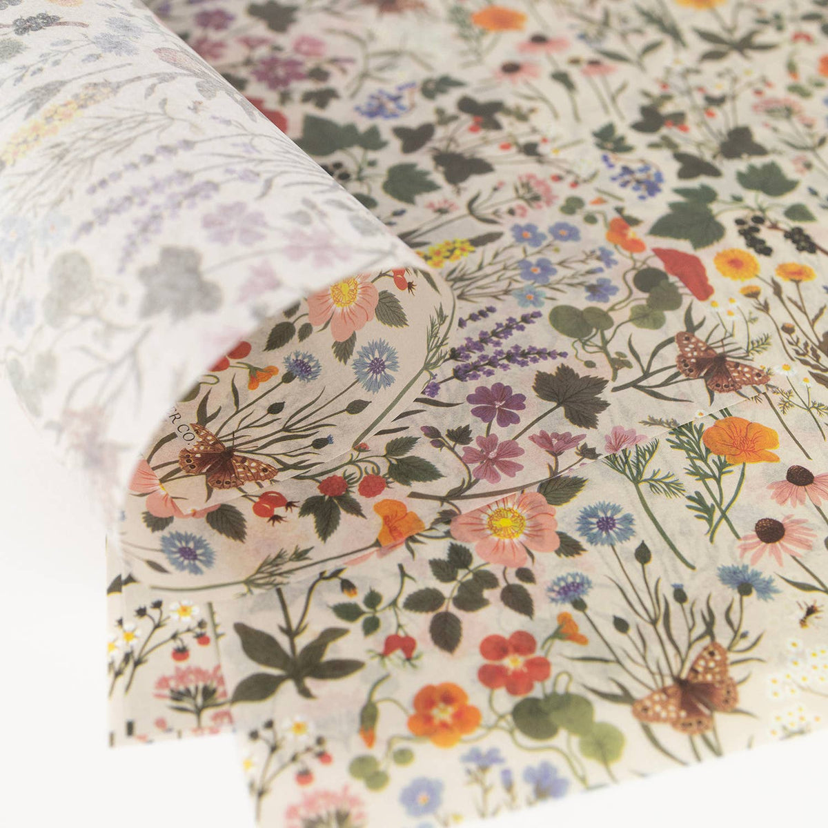Botanica Paper Co. - BOTANIST | 20 Mini Tissue Paper Sheets