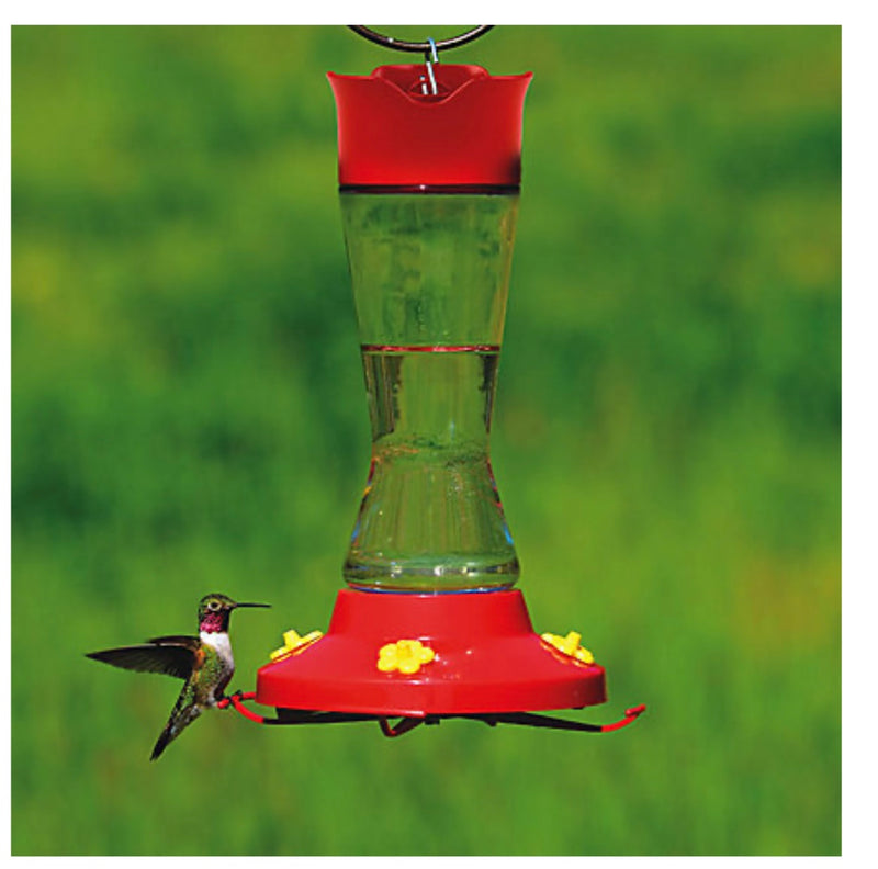 Glass 16oz Hummingbird Feeder Featherfields