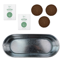 Buzzy Seeds - My First Garden: Painted Windowsill Grow Kit - Marigold & Tomato