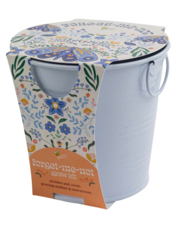 Buzzy Seeds - Painted Flower Pail - Forget-Me-Not