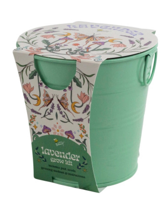 Buzzy Seeds - Painted Flower Pail - Lavender