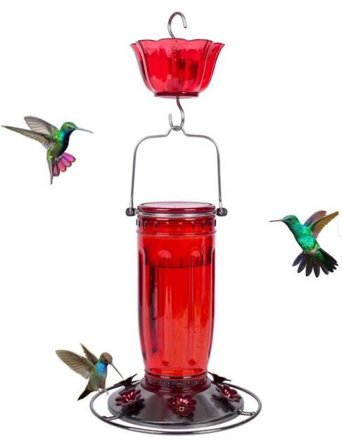 Glass Hummingbird Feeder with Moat