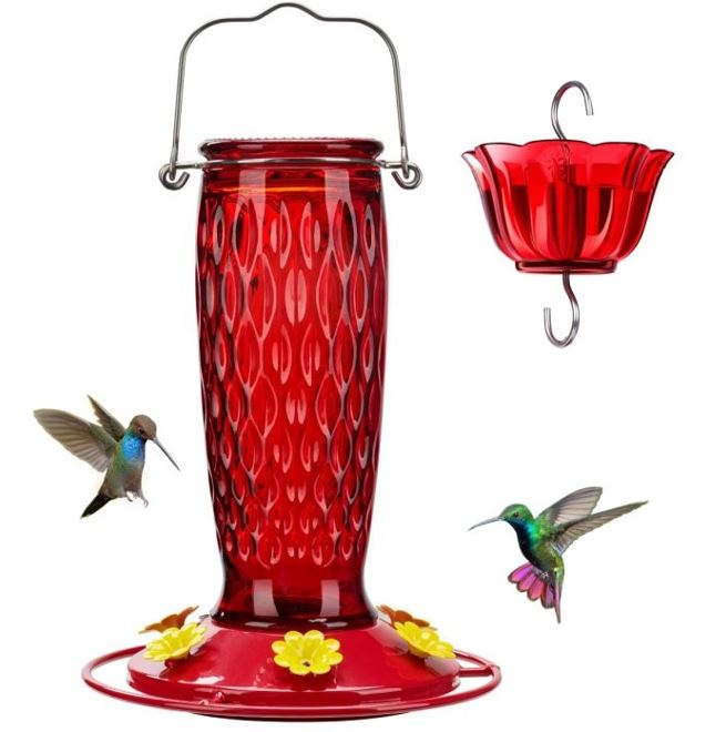 Textured Red Glass Hummingbird Feeder