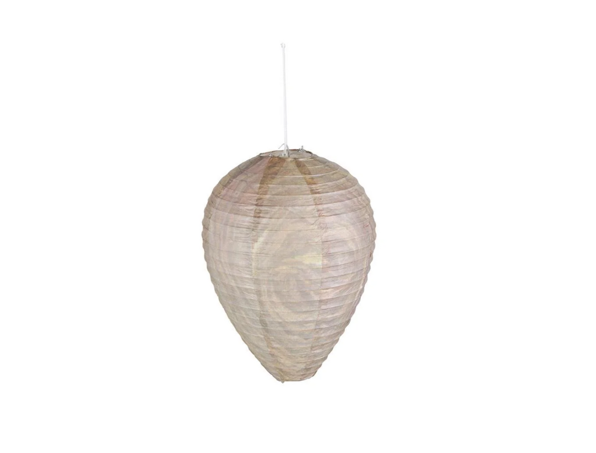 Wasp Deterrent