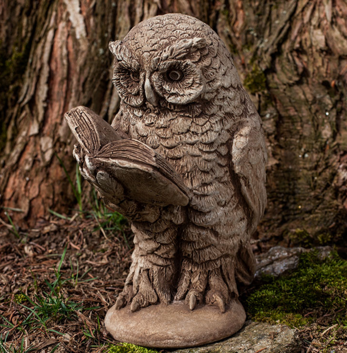 Campania Concrete Scholarly Owl