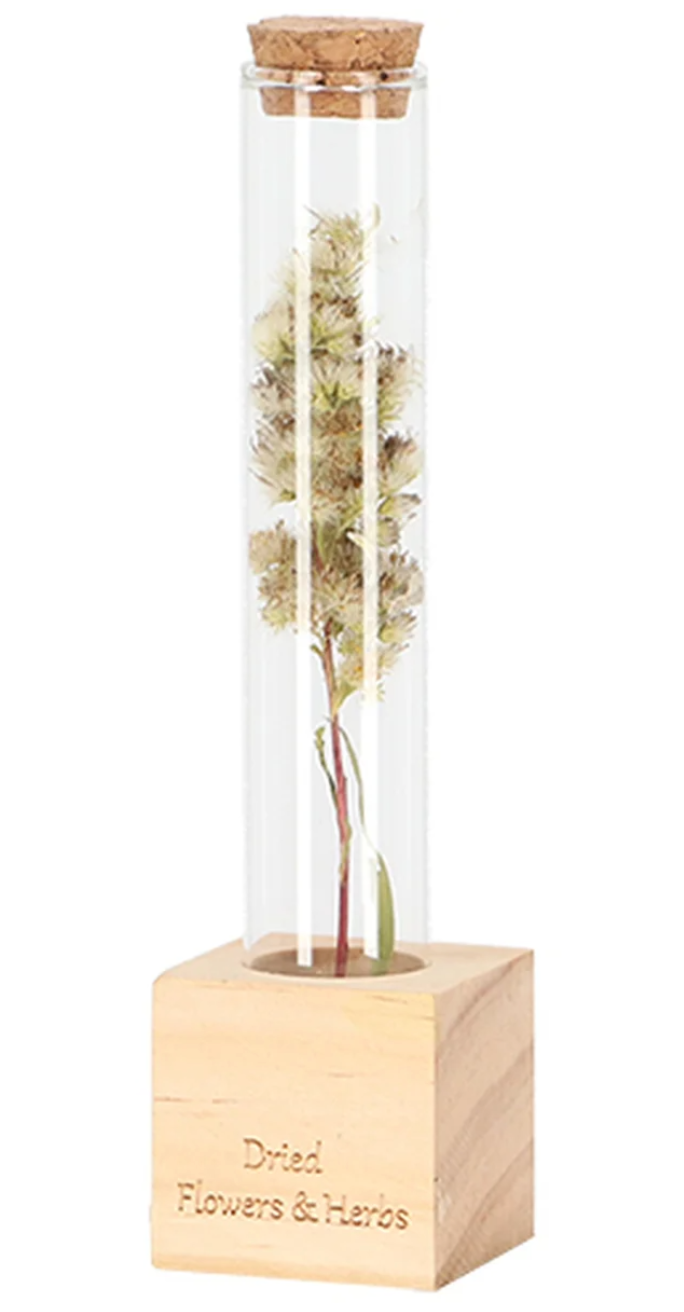 Dried Flower/Herb Test Tube