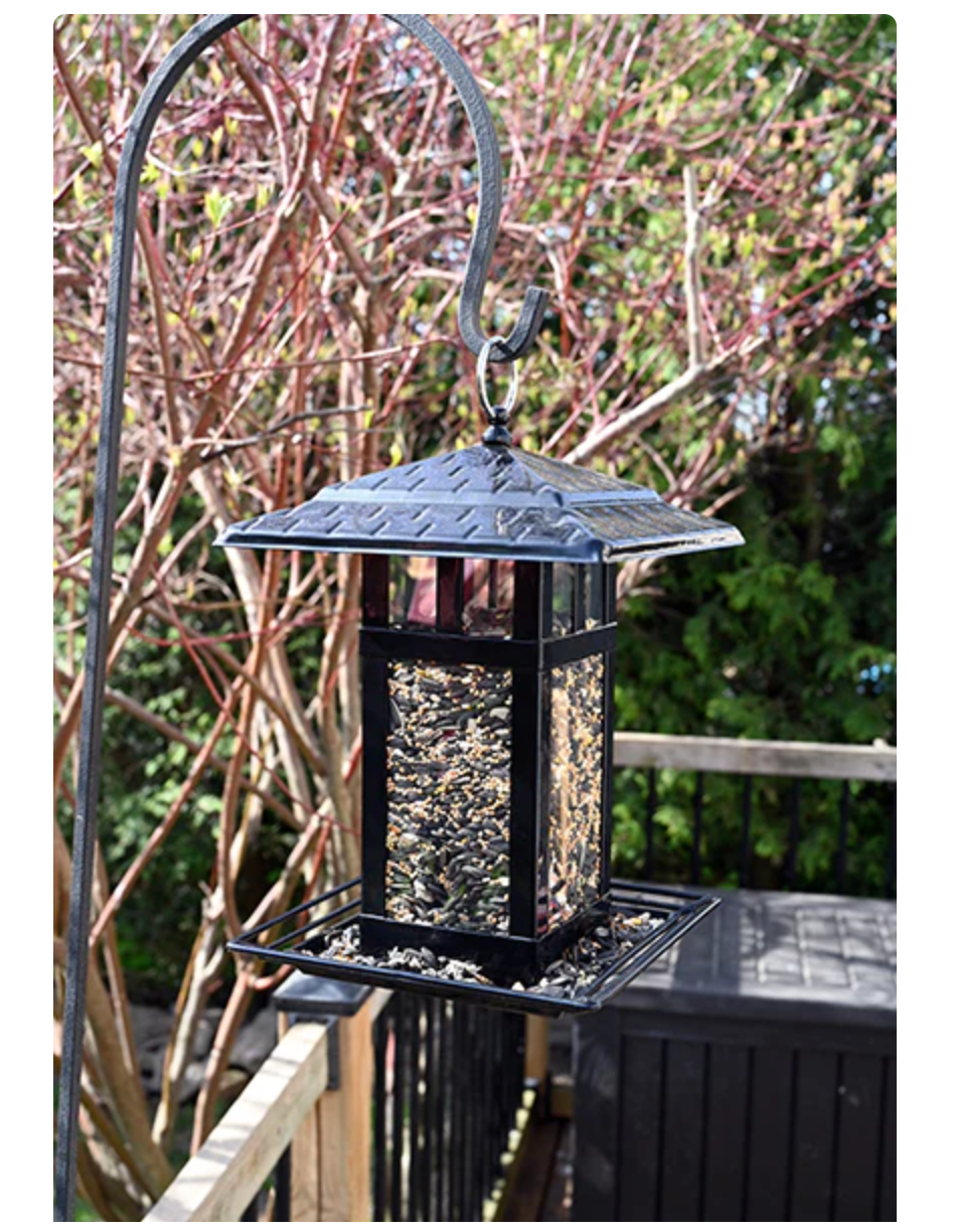 PineBush Modern Lantern Feeder