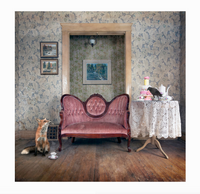 Morgan Jones Art- Collectors Blocks