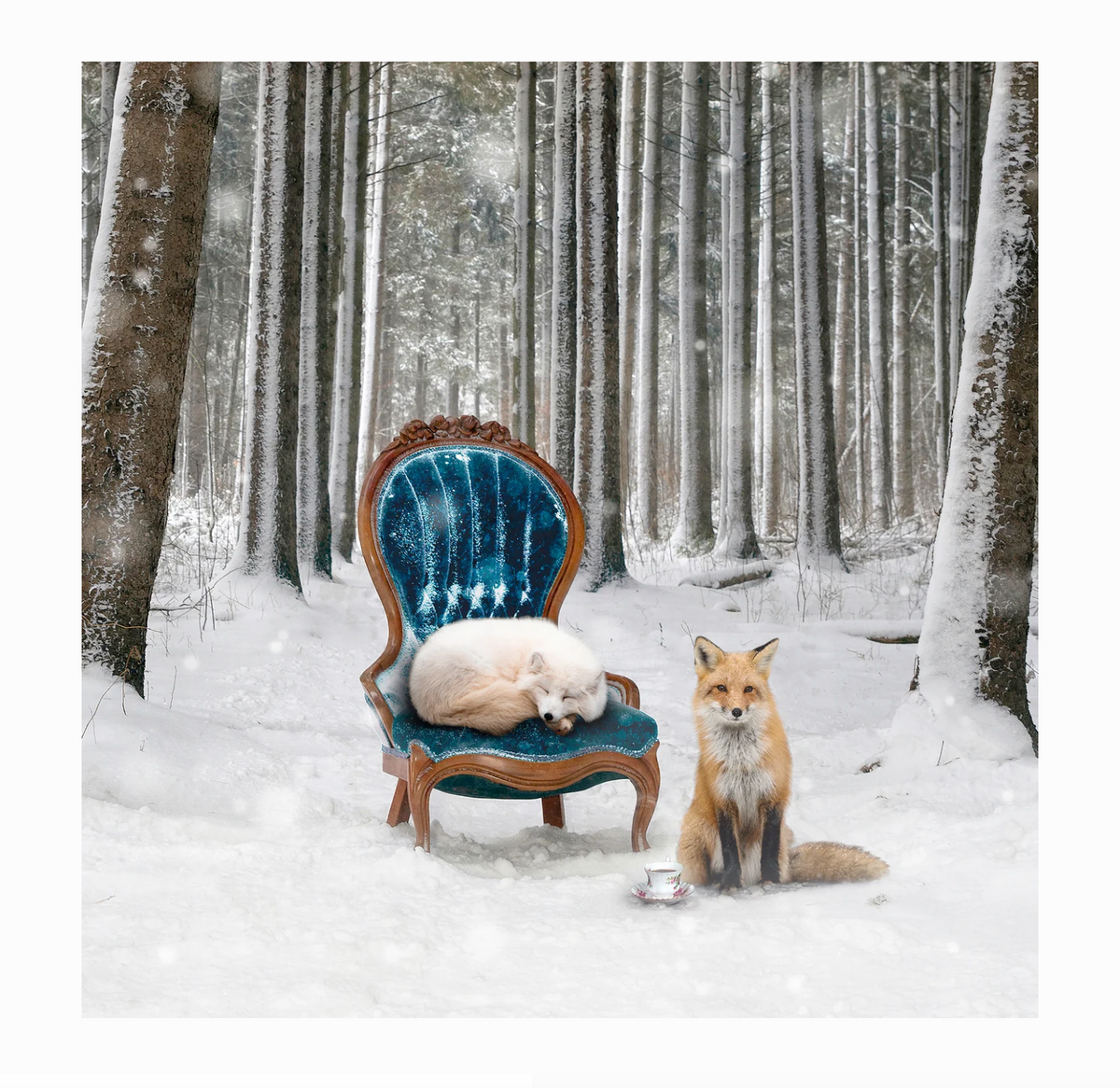 Morgan Jones Art- Collectors Blocks