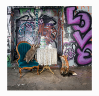 Morgan Jones Art- Collectors Blocks