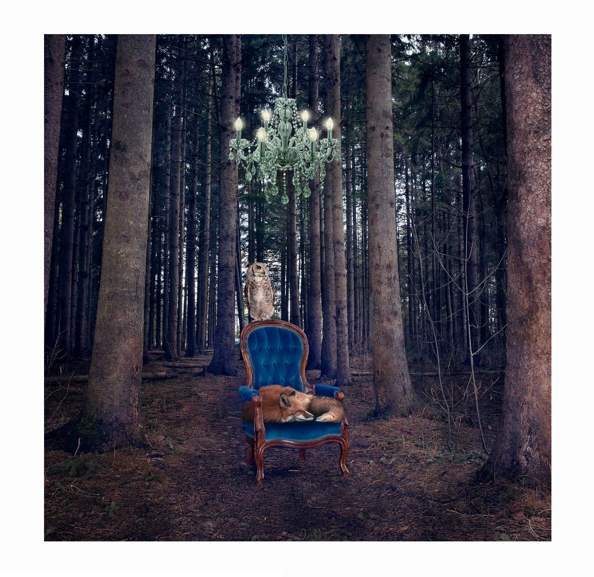 Morgan Jones Art- Collectors Blocks