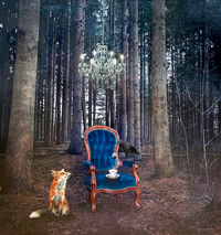 Morgan Jones Art- Collectors Blocks