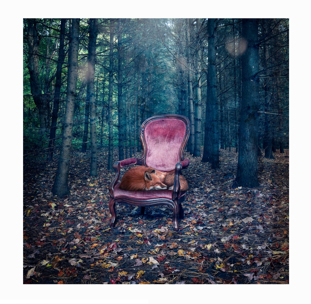 Morgan Jones Art- Collectors Blocks