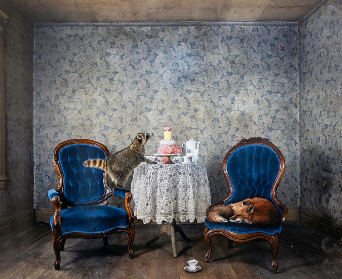 Morgan Jones Art- Collectors Blocks