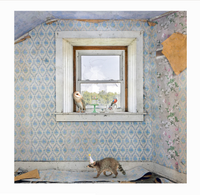 Morgan Jones Art- Collectors Blocks