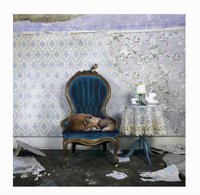 Morgan Jones Art- Collectors Blocks