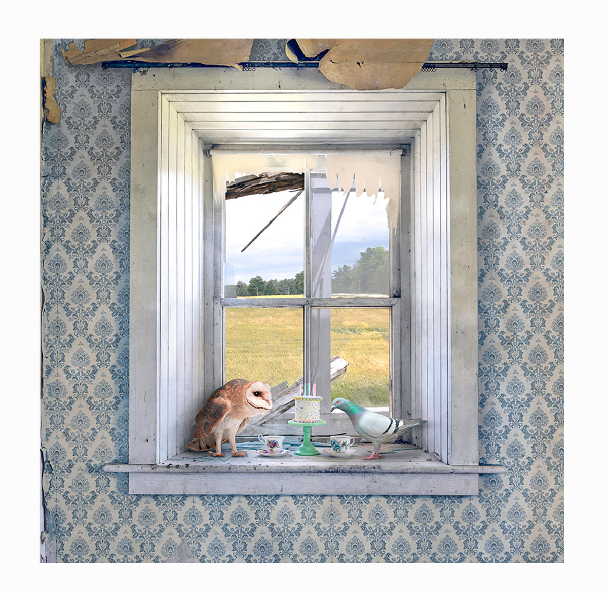 Morgan Jones Art- Collectors Blocks