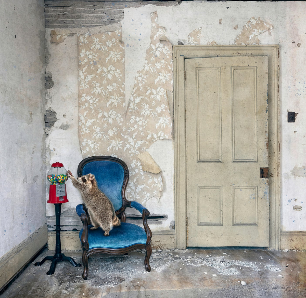 Morgan Jones Art- Collectors Blocks