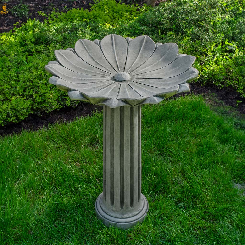 Campania Marguerite Birdbath