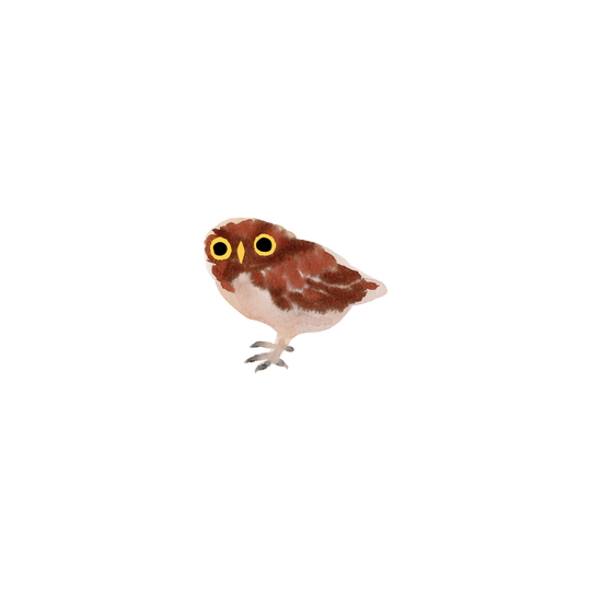 Owlet Tattoo Pair