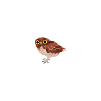 Owlet Tattoo Pair