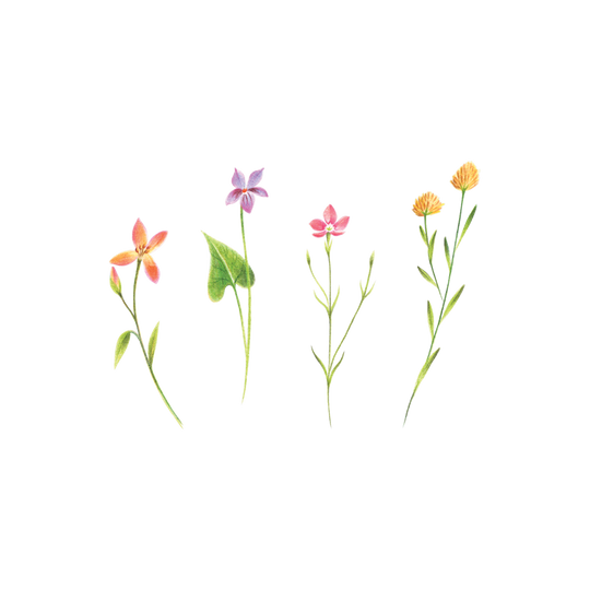 Petite Florals Tattoo