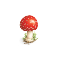 Toadstool Tattoo Pair