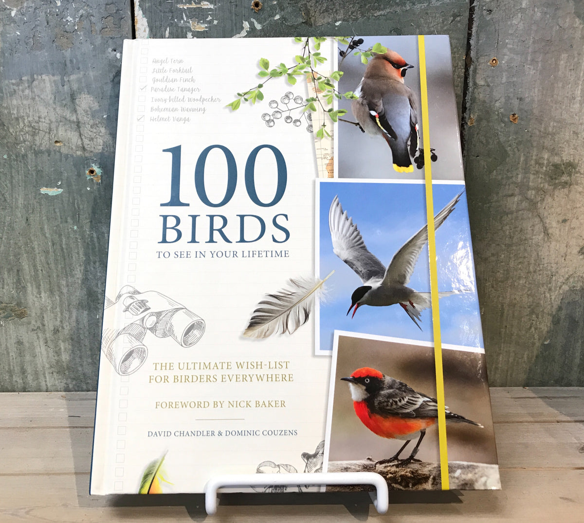 100 Birds To See In Your Lifetime