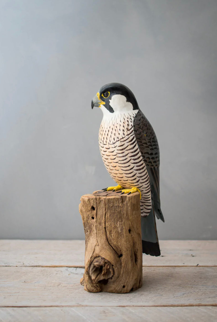 Peregrine Falcon 12”
