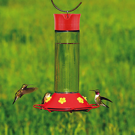Perky Pet Our Best Glass Hummingbird Feeder