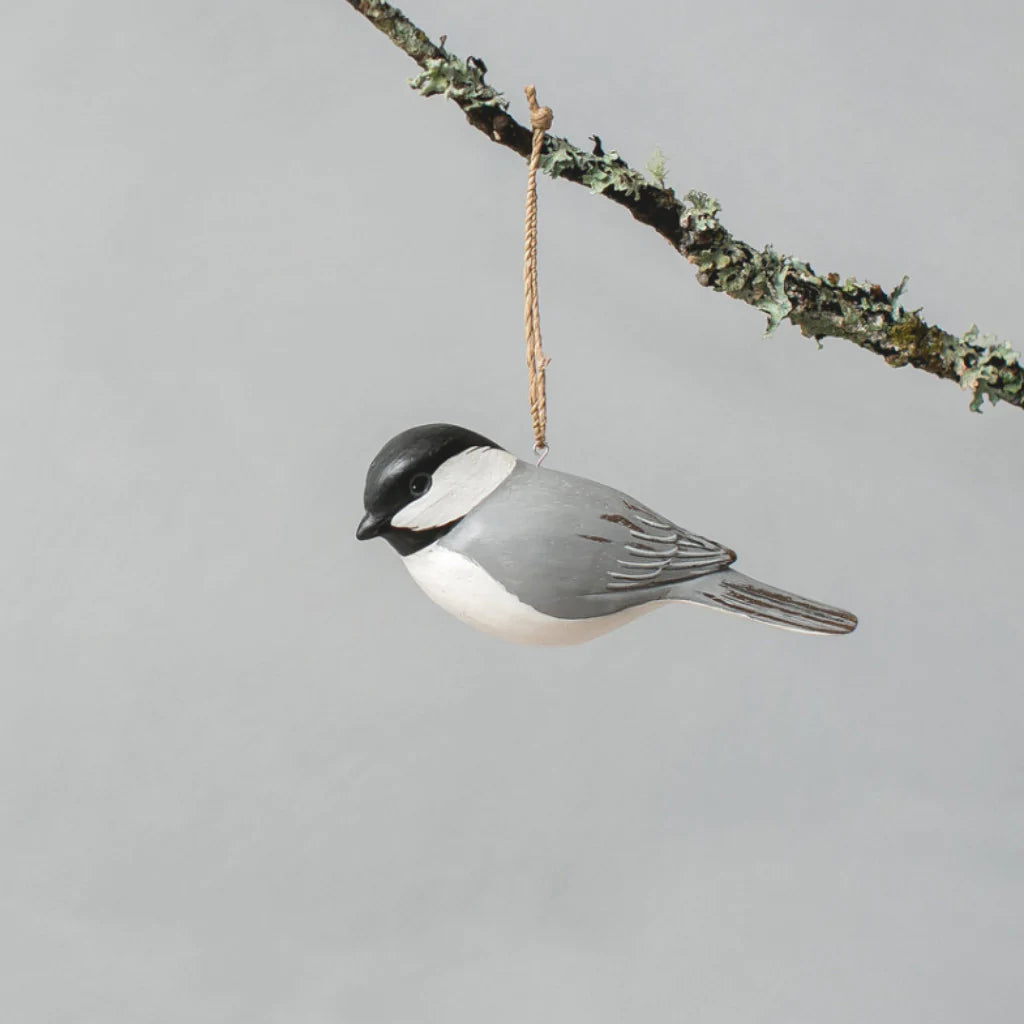 Hanging Chickadee