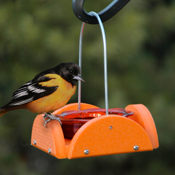 Going Green Oriole Feeder - Recycled Plastic
