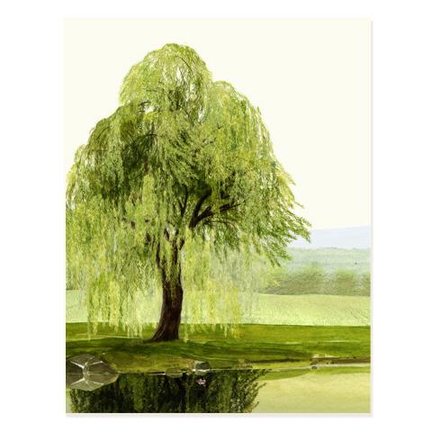 Felix Doolittle Whispering Willow Sympathy Card