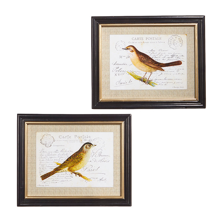 Framed Print - French Postcard with Bird