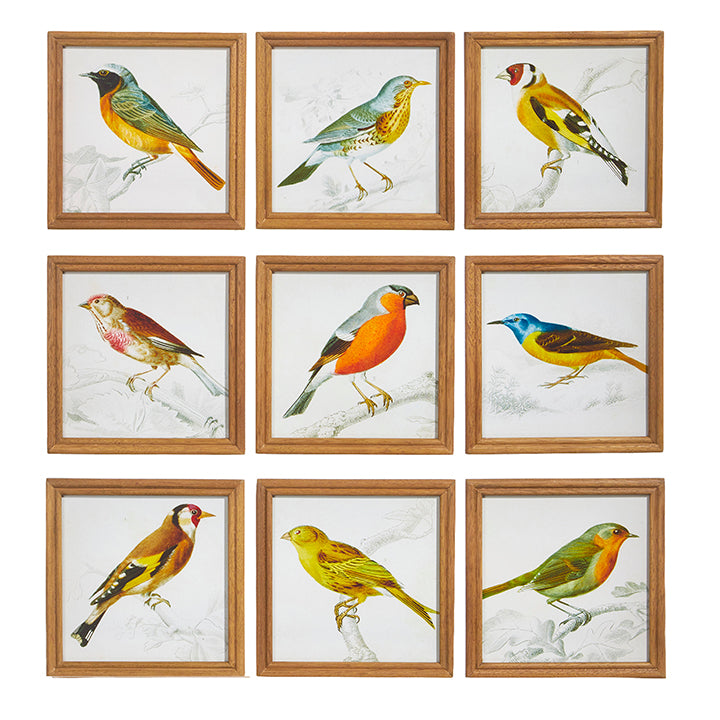 Assorted Bird on Branch Framed Prints