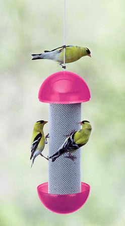 Have a Ball Finch Feeder