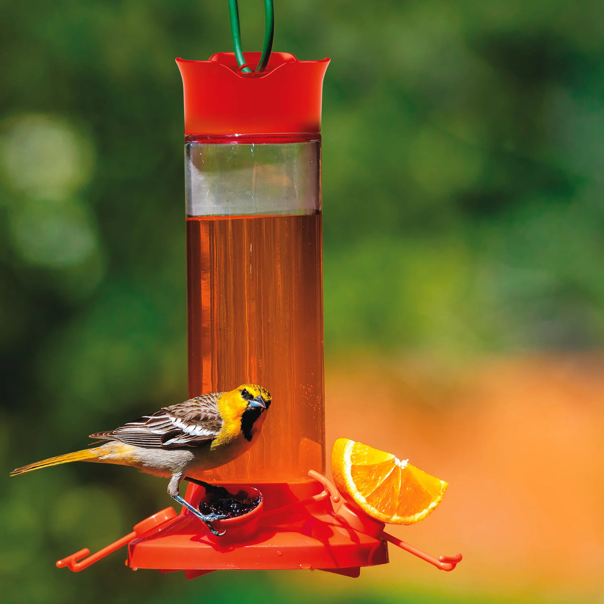 Perky Pet Fruit Trio Oriole Nectar Feeder