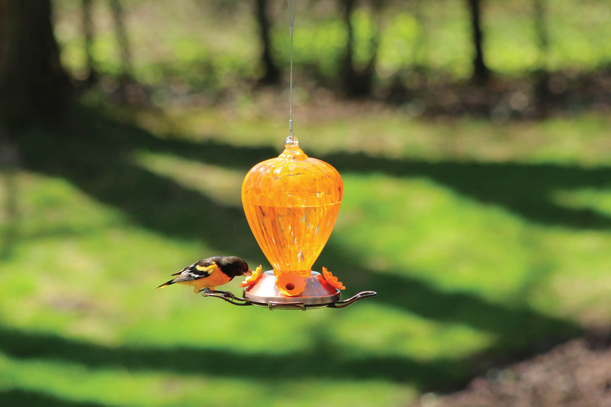 Pinebush Art Glass Oriole Feeder