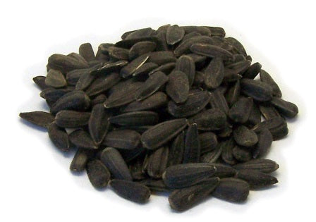 Black Oil Sunflower Seed