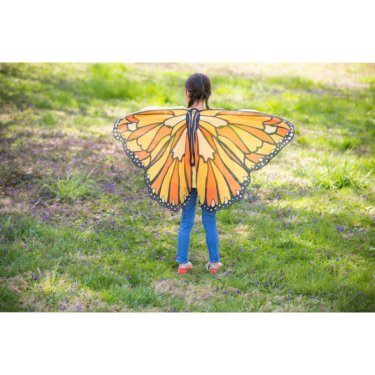 Evergreen- Colourful Butterfly Wings