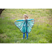 Evergreen- Colourful Butterfly Wings