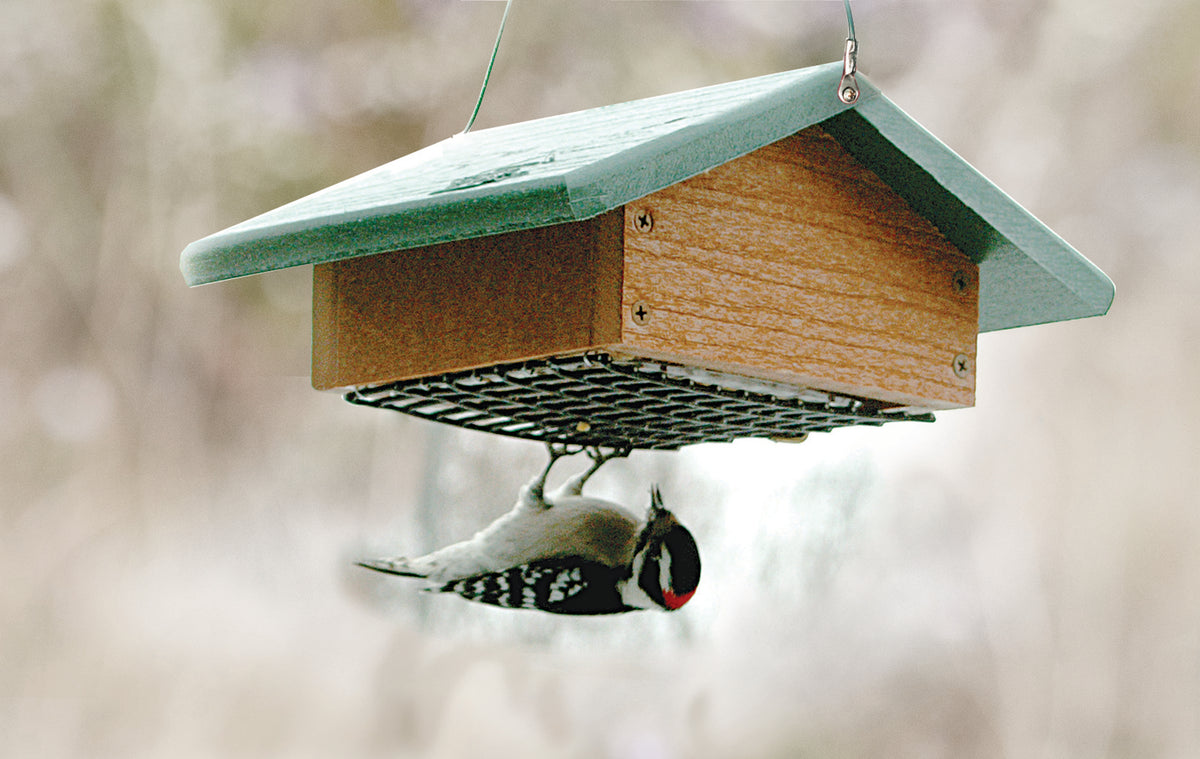 Going Green Upside Down Suet Feeder