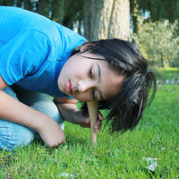 Hear the Beat of Nature