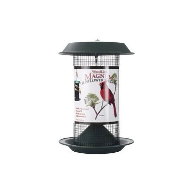 Woodlink Large Plastic Magnum Sunflower & Peanut Feeder