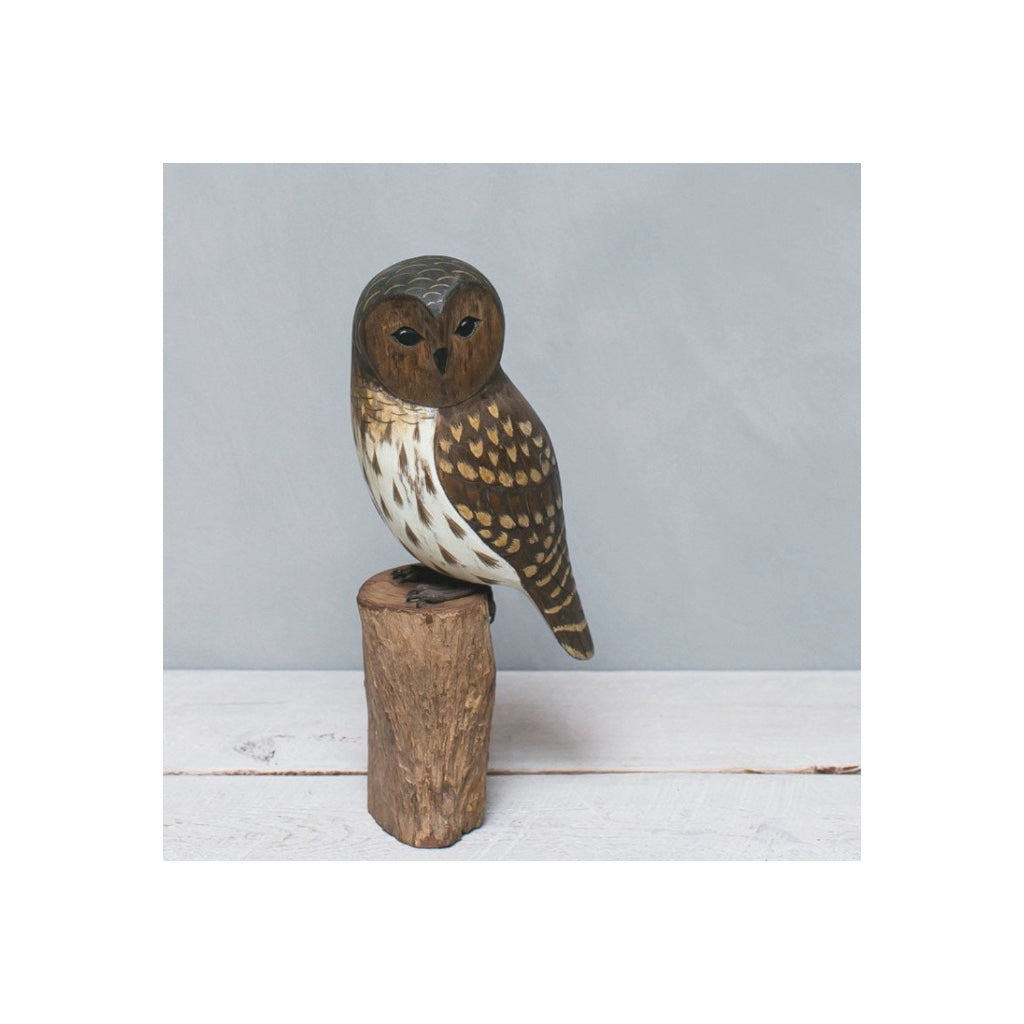 Barred Owl 13"H